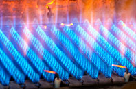 Beedon gas fired boilers